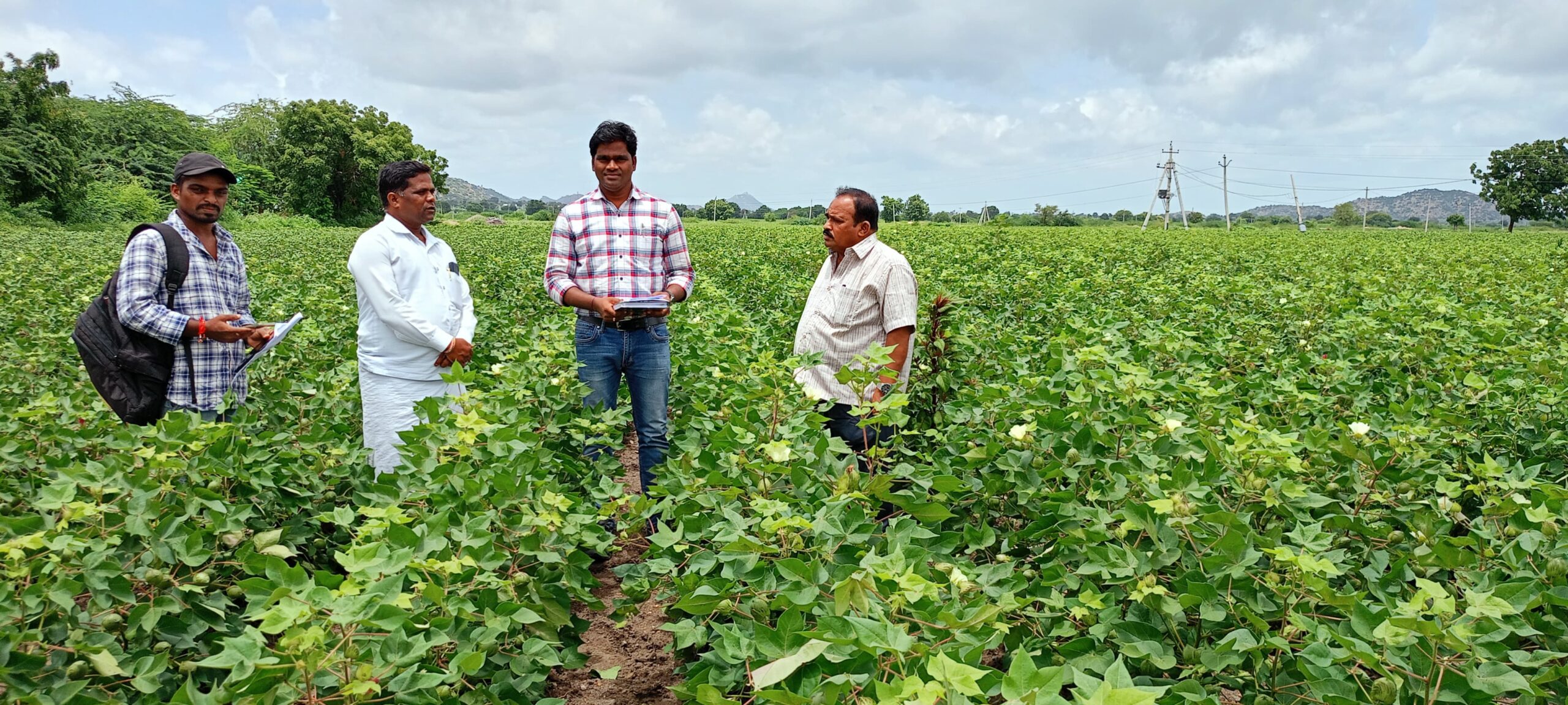 పంట నమోదును పరిశీలించిన అధికారులు