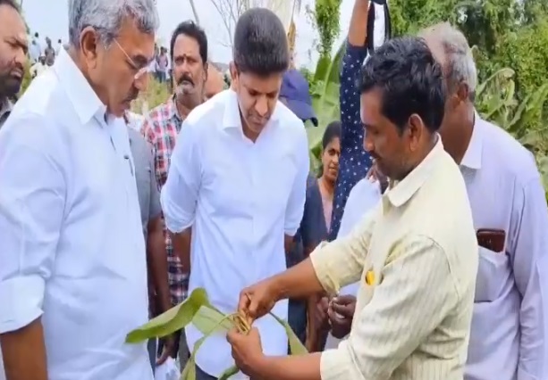 పంటను పరిశీలించిన కేంద్ర మంత్రి పంటను పరిశీలించిన కేంద్ర మంత్రి