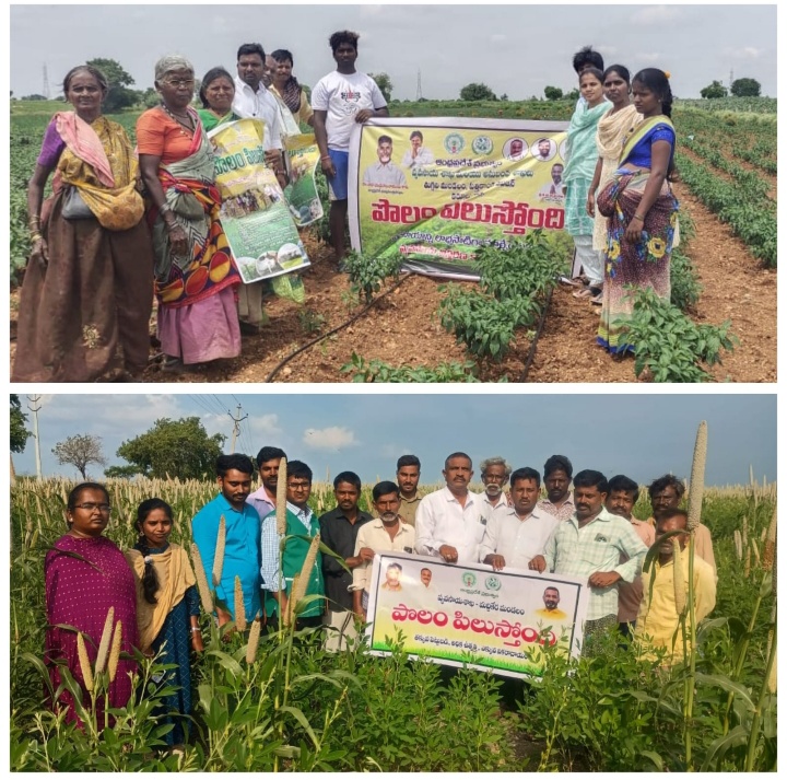 గ్రామాలలో ముమ్మరంగా పొలం పిలుస్తోంది కార్యక్రమాలు గ్రామాలలో ముమ్మరంగా పొలం పిలుస్తోంది కార్యక్రమాలు