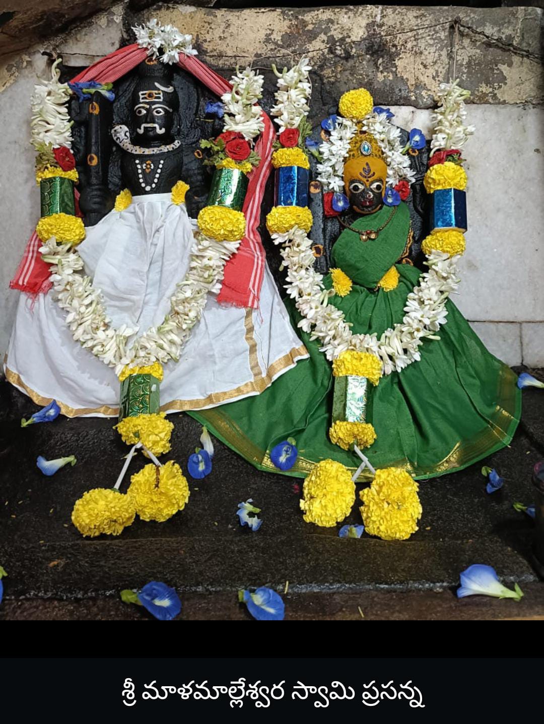 శ్రీ మాళ మల్లేశ్వర స్వామికి ప్రత్యేక పూజలు శ్రీ మాళ మల్లేశ్వర స్వామికి ప్రత్యేక పూజలు