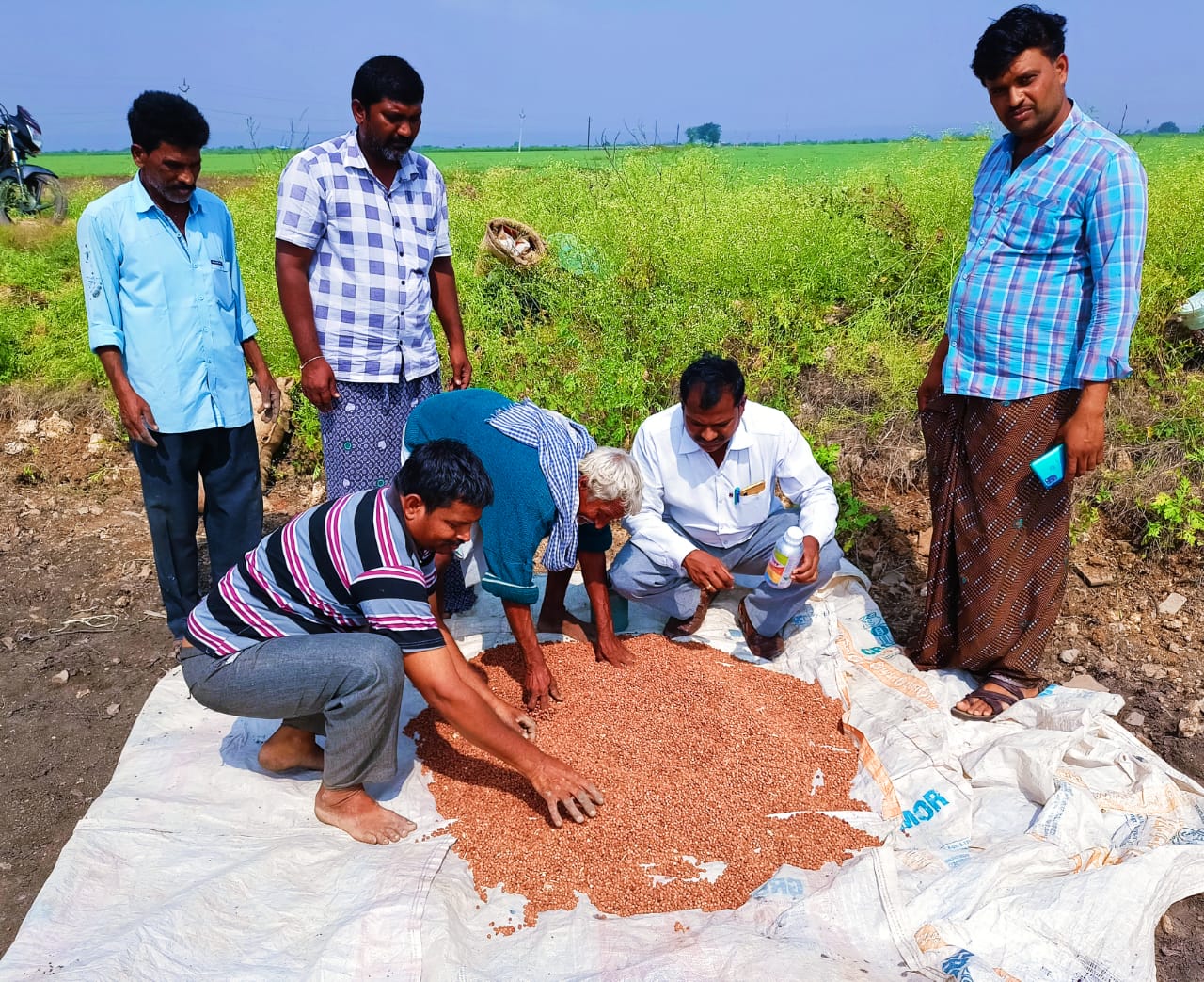 యాజమాన్య పద్ధతులు సకాలంలో పాటిస్తే  అధిక దిగుబడులు సాధించవచ్చు