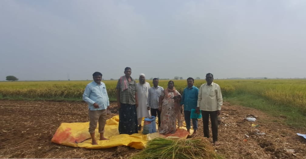 పంటకోత ప్రయోగాలతో దిగుబడుల అంచన పంటకోత ప్రయోగాలతో దిగుబడుల అంచన