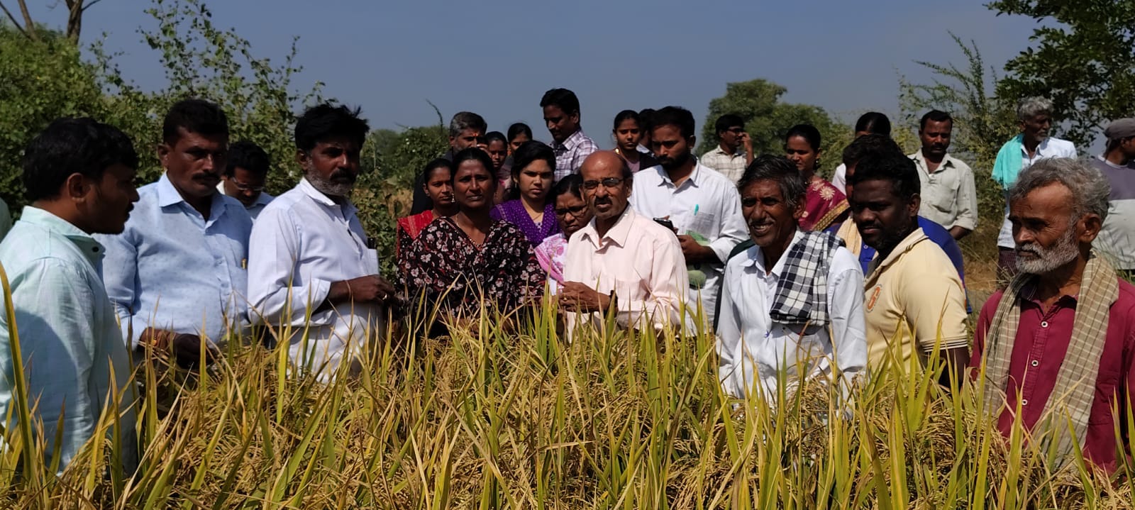 రసాయనిక ఎరువుల వాడకం తగ్గించాలి రసాయనిక ఎరువుల వాడకం తగ్గించాలి