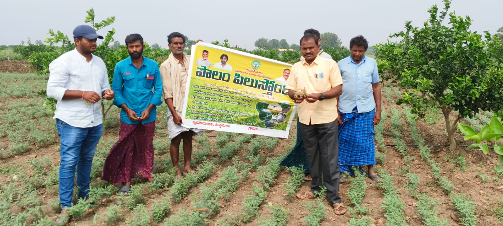 శనగ పంటలో వేరు కుళ్లు తెగులు నివారణకు సలహాల అందించిన ఏవో శనగ పంటలో వేరు కుళ్లు తెగులు నివారణకు సలహాల అందించిన ఏవో