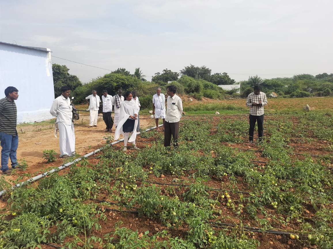 రబీ పంటలకు భీమా చేసుకోండి; రామాంజనేయులు