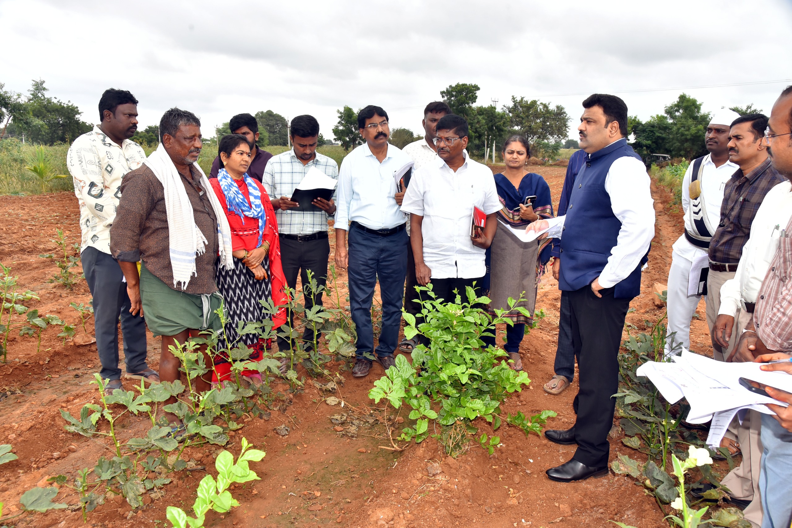 ఉద్యాన పంటల సాగు పెంచేందుకు చర్యలు తీసుకోవాలి