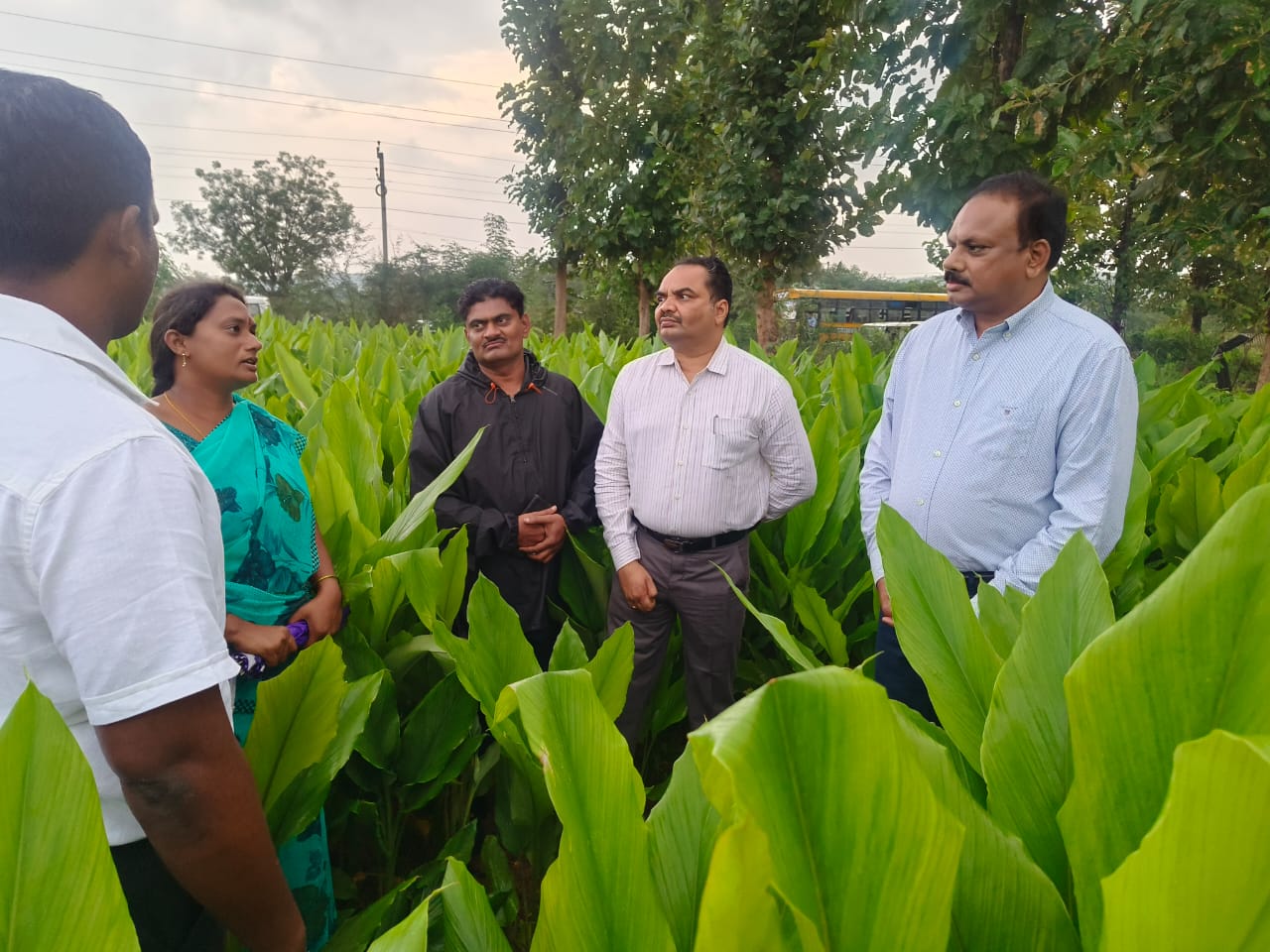 ఉద్యానవన పంటలను పరిశీలించిన కలెక్టర్