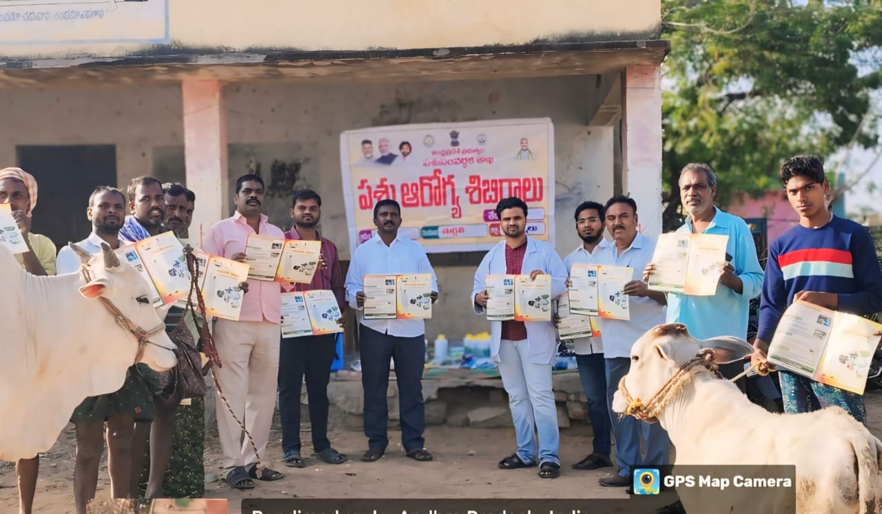 బొందిమడుగుల గ్రామంలో పశుఆరోగ్య శిబిరం ఏర్పాటు