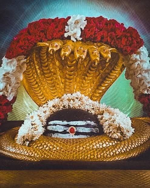 శ్రీశైలాన్ని దర్శించుకోవడం …ఆధ్యాత్మిక పునర్జన్మ! శ్రీశైలాన్ని దర్శించుకోవడం …ఆధ్యాత్మిక పునర్జన్మ!