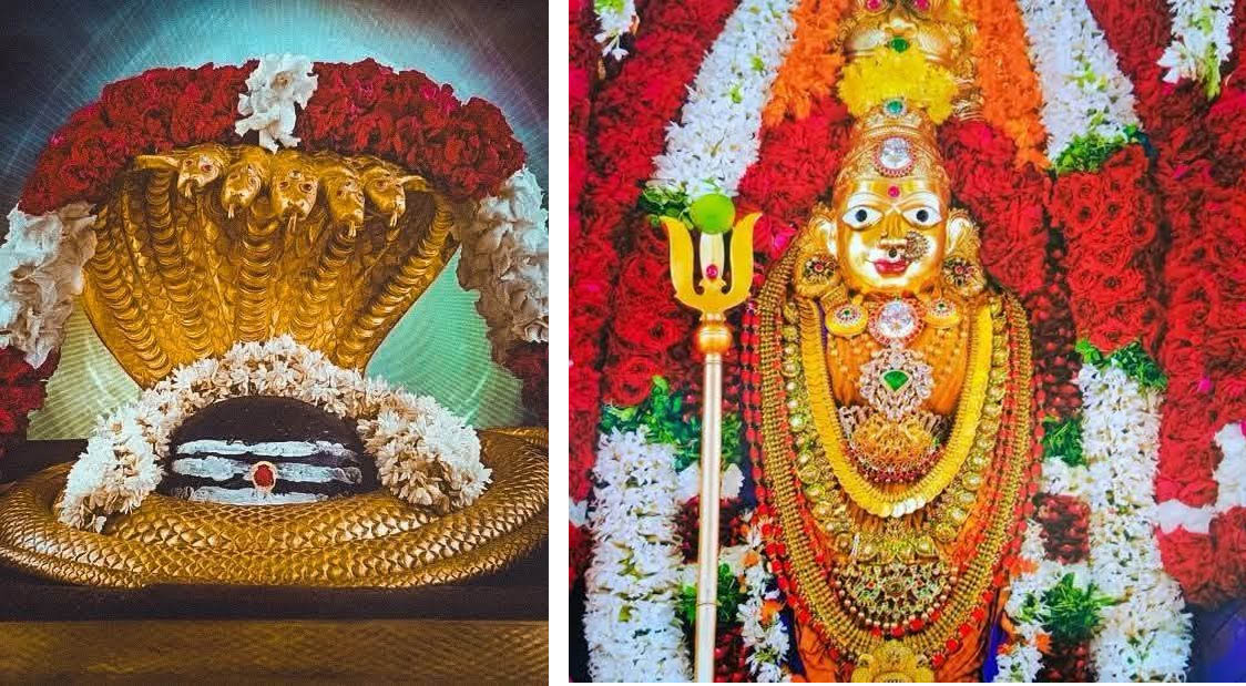శ్రీశైల మల్లన్న దర్శనం పలు జన్మల పాప పరిహారం..! శ్రీశైల మల్లన్న దర్శనం పలు జన్మల పాప పరిహారం..!