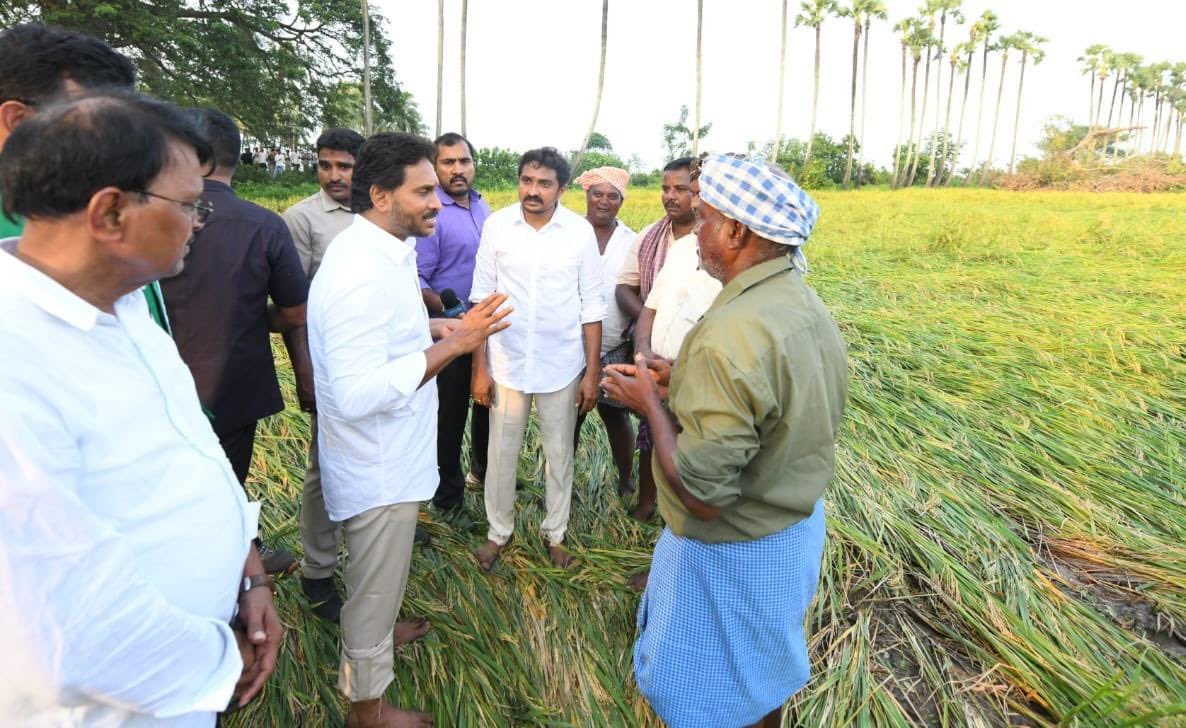 మోంథా తుఫాన్‌ బీభత్సంతో నష్టపోయిన రైతుని ప్రభుత్వం ఆదుకోవాలి : వైఎస్ జగన్