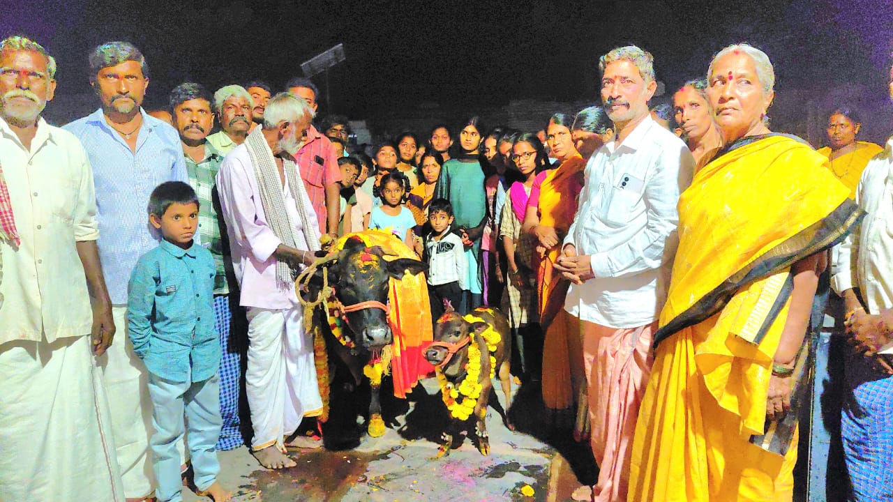 గోపూజతో ముగిసిన తితిదే ధార్మిక కార్యక్రమాలు గోపూజతో ముగిసిన తితిదే ధార్మిక కార్యక్రమాలు