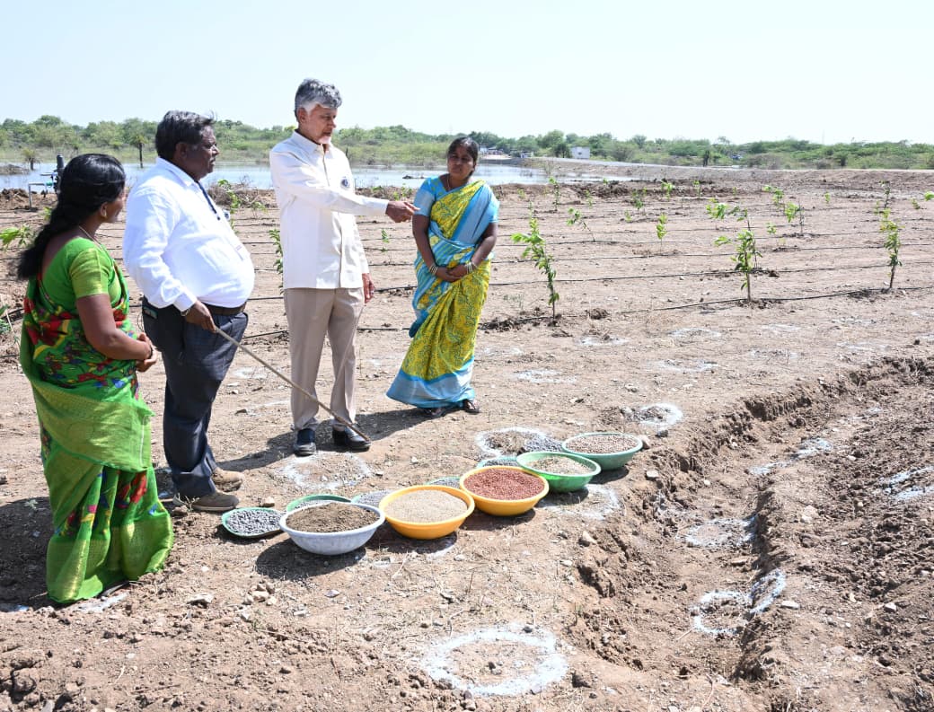 ప్రకృతి వ్యవసాయాన్ని పరిశీలించిన సీఎం ప్రకృతి వ్యవసాయాన్ని పరిశీలించిన సీఎం