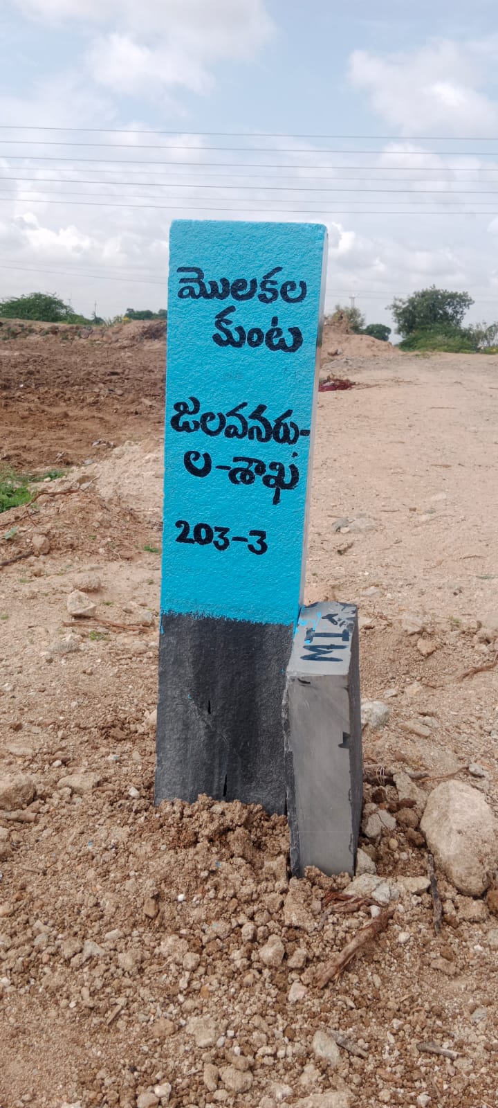 మొలకలకుంటలో ప్రభుత్వ భూమి స్వాధీనం